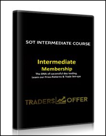SOT Intermediate Course