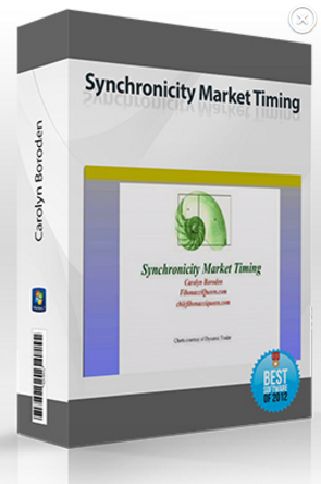Carolyn Boroden – Synchronicity Market Timing