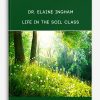 Dr. Elaine Ingham – Life In The Soil Class