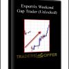 Expert4x Weekend Gap Trader (Unlocked)