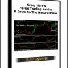 Craig Harris – Forex Trading Advice & Intro to The Natural Flow