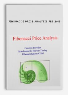 Fibonacci Price Analysis Feb 2018