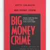 Big Money Crime by Kitty Calavita