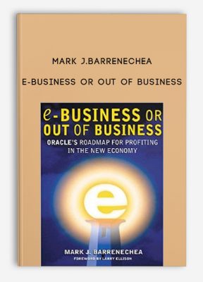 E-Business or Out of Business by Mark J.Barrenechea