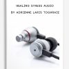 Healing Stress Audio by Adrienne Laris Toghraie