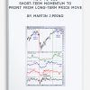 How to Use Short-Term Momentum to Profit from Long-Term Price Move by Martin J.Pring