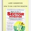 How to be a Sector Investor by Larry Hungerford