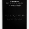Interpreting Time Segmented Volume by Peter Worden