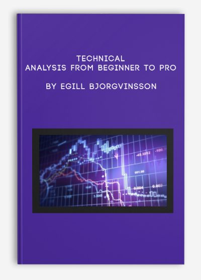 Technical Analysis From Beginner To Pro by Egill Bjorgvinsson