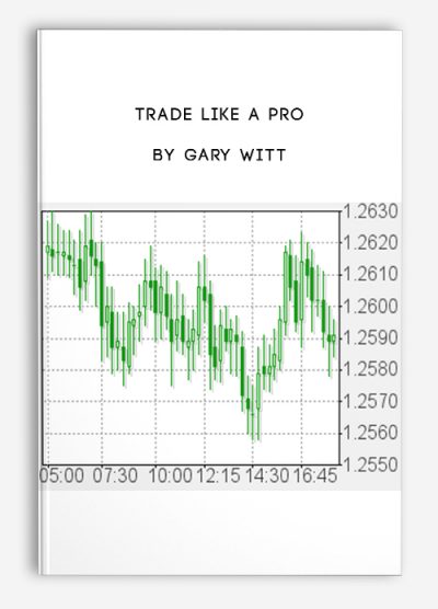 Trade Like a Pro by Gary Witt