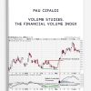 Volume Studies. The Financial Volume Index by Pau Cifaldi