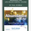 Abundance for Life Deluxe Digital Course by Paul Scheele