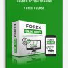 Golden Option Trading – Forex Course