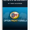 How to Trade Stock Options – Profiting in Up and Down Markets by Travis Wilkerson