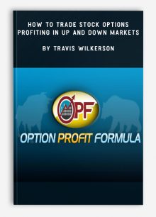 How to Trade Stock Options – Profiting in Up and Down Markets by Travis Wilkerson