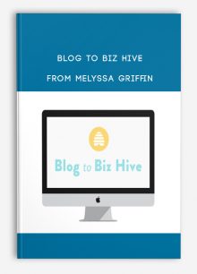 Blog to Biz Hive from Melyssa Griffin