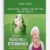 Mary Bove - Medicinal Herbs for Better Brain Health