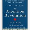 Unlocking the Power of the Focused Min from Alan Wallace