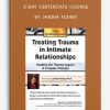 2-Day Certificate Course Treating Trauma in Intimate Relationships,Healing the Trauma Legacy in Couples Therapy by Janina Fisher