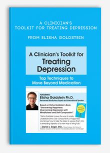 A Clinician's Toolkit for Treating Depression Top Techniques to Move Beyond Medication from Elisha Goldstein