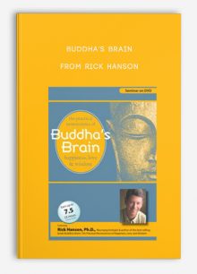 Buddha's Brain The Practical Neuroscience of Happiness, Love and Wisdom from Rick Hanson