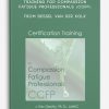 Certification Training for Compassion Fatigue Professionals (CCFP) from Bessel Van der Kolk , Eric Gentry, Janina Fisher
