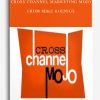 Cross Channel Marketing MOJO from Mike Koenigs