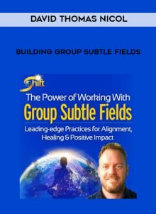 Building Group Subtle Fields by David Thomas Nicol