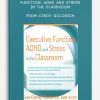 Executive Function, ADHD and Stress in the Classroom from Cindy Goldrich