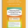 Improving Visual Processing at Any Age Enhance Performance, Learning, Therapeutic Success frmo Cathy Stern