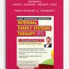 Internal Family Systems Therapy (IFS) 2-Day Experiential Workshop from Richard C