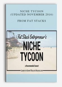 Niche Tycoon (Updated November 2016) from Fat Stacks