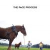 The PACE Process by Rudy Hunter