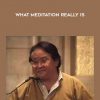 What Meditation Really Is by Sogyal Rinpoche