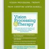 Vision Processing, Therapy Collaborative Approaches for Individuals with Sensory Processing Disorders, ADHD, Autism, Traumatic Brain Injury, Other Special Populations from Christine Winter-Rundell