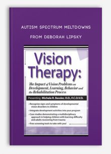 Vision TherapyThe Impact of Vision Problems on Development, Learning, Behavior and the Rehabilitation Process from Michele R