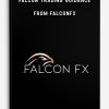 Falcon Trading Guidance from FalconFX