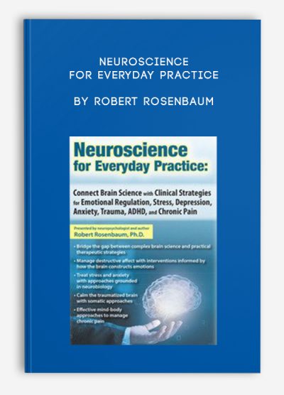 Neuroscience for Everyday Practice Connect Brain Science with Clinical Strategies for Emotional Regulation, Stress, Depression, Anxiety, Trauma, ADHD, and Chronic Pain by Robert Rosenbaum