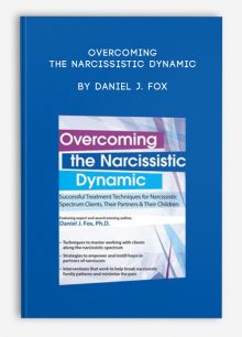 Overcoming the Narcissistic Dynamic Successful Treatment Techniques for Narcissistic Spectrum Clients, Their Partners and Their Children by Daniel J