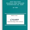 2000-2001-2002 Financial Risk Manager Examination CD, GARP by FRM