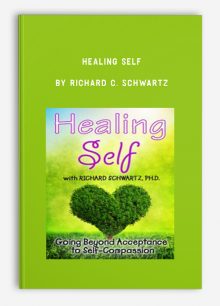Healing Self: Going Beyond Acceptance to Self-Compassion by Richard C. Schwartz