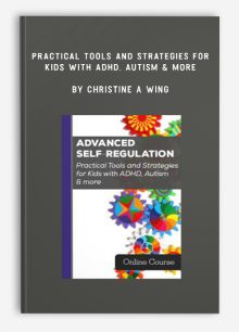 Practical Tools and Strategies for Kids with ADHD, Autism & more by Christine A Wing