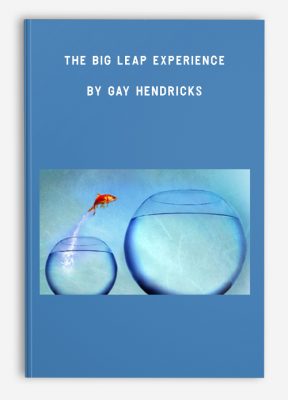 The Big Leap Experience by Gay Hendricks