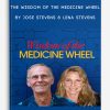The Wisdom of the Medicine Wheel by Jose Stevens & Lena Stevens