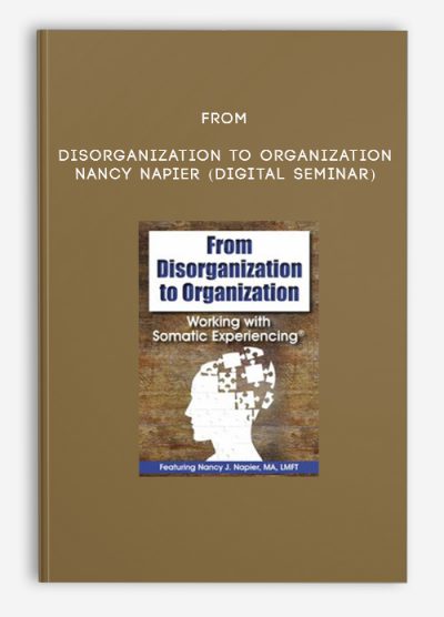 From Disorganization to Organization - NANCY NAPIER (Digital Seminar)