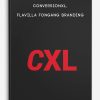 ConversionXL, Flavilla Fongang – Branding