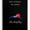 Hugo Valenzuela – The Ladybug