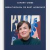 Joanna Wiebe – Breakthrough Or Bust Workshop