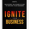 Ignite: Unlocking the power of SEO to explode your business