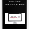 Michael Carbone – Online Course In A Weekend